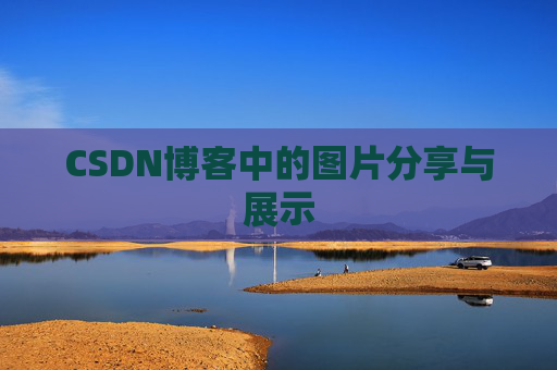 CSDN博客中的图片分享与展示